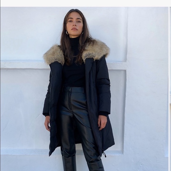 aritzia babaton st moritz parka